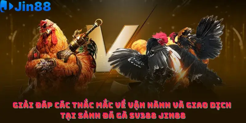 Giải đáp các thắc mắc về vận hành và giao dịch tại sảnh Đá gà SV388 Jin88