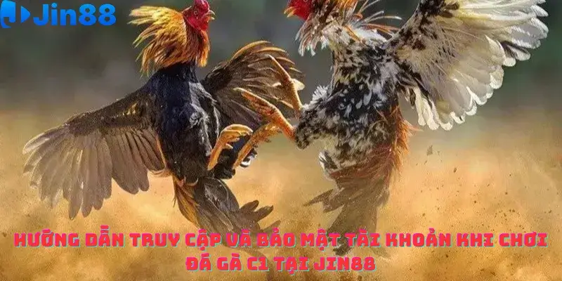 Hướng dẫn truy cập và bảo mật tài khoản khi chơi Đá gà C1 tại Jin88